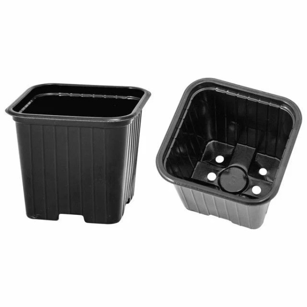 orig - 2026-01-26T163203.758