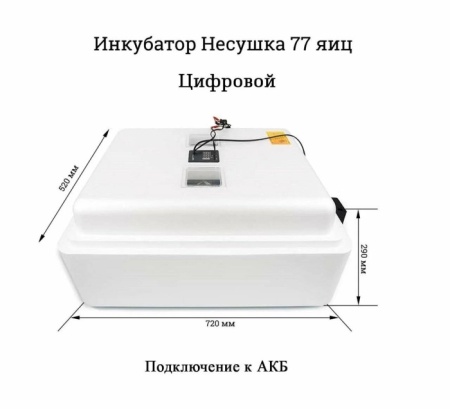 2. Инк.Несушка(76) 77я,авто,220-12В,аналог.терм