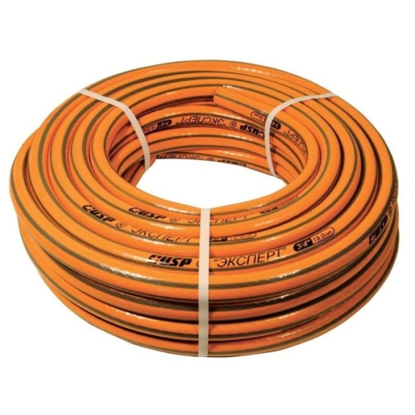 6062094019